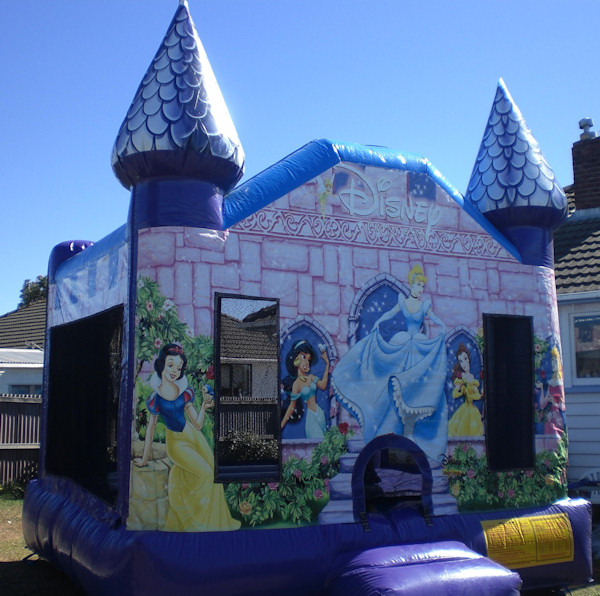 princess-large.jpg